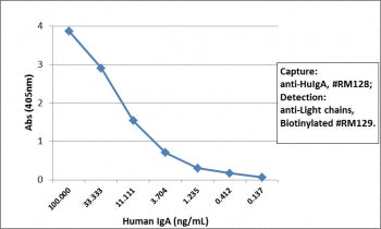 IgA Heavy Chain Antibody