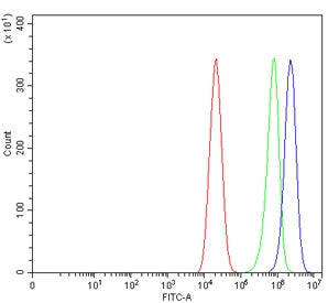 p120 Catenin Antibody / CTNND1 / Catenin delta 1