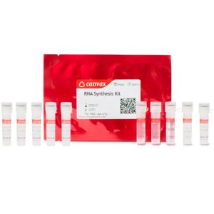 TBARS Assay Kit