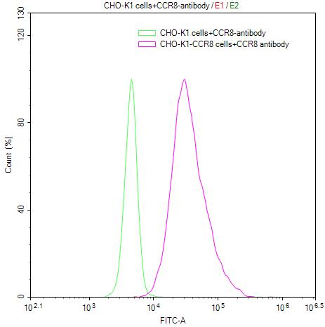 CCR8 Recombinant Monoclonal Antibody