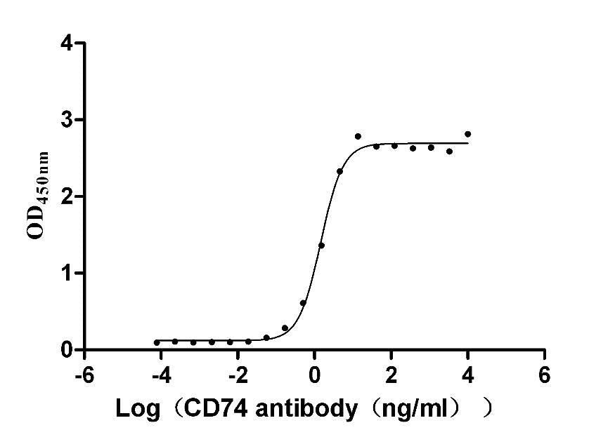CD74 Recombinant Monoclonal Antibody