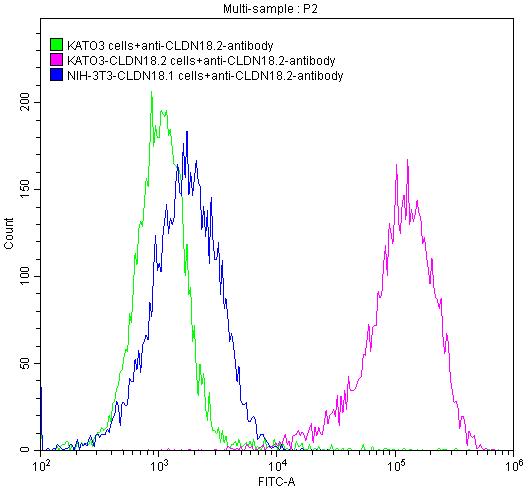 Claudin-18.2 Recombinant Monoclonal Antibody