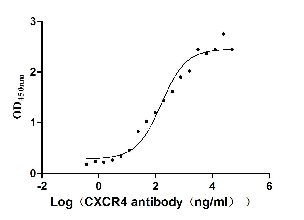 CXCR4 Recombinant Monoclonal Antibody
