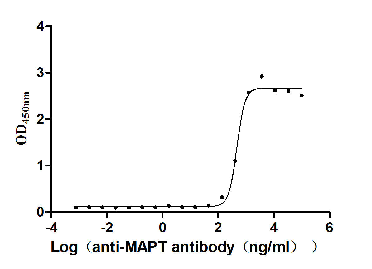 MAPT Recombinant Monoclonal Antibody