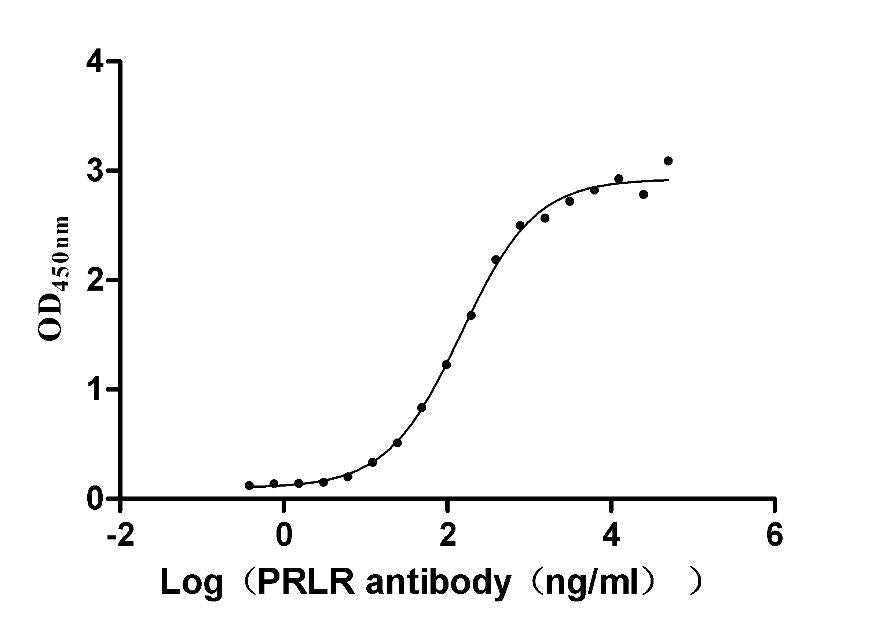 PRLR Recombinant Monoclonal Antibody