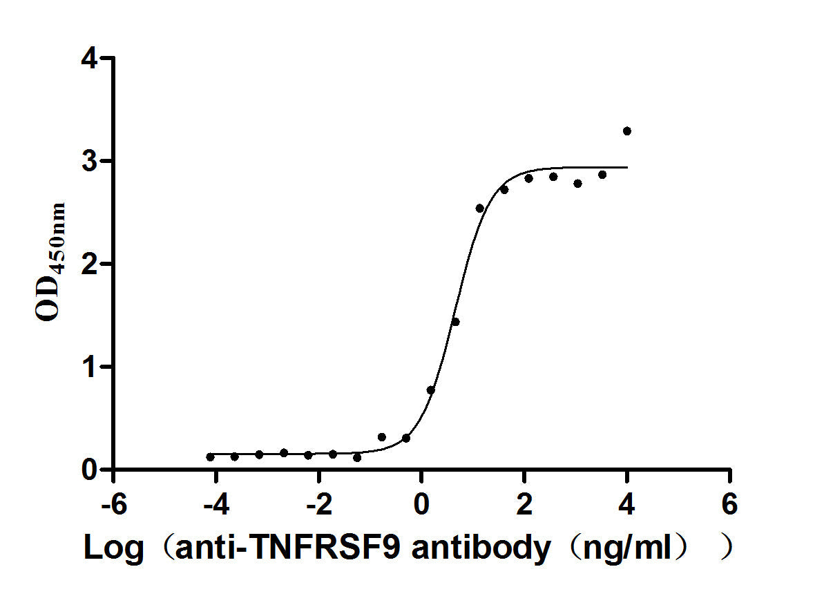 TNFRSF9/4-1BB Monoclonal Recombinant Monoclonal Antibody