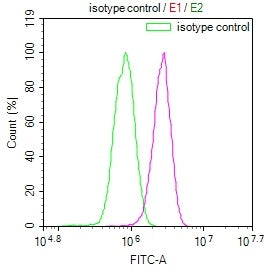 KLRG1 Recombinant Monoclonal Antibody