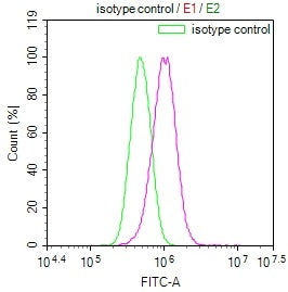 RAB27A Recombinant Monoclonal Antibody