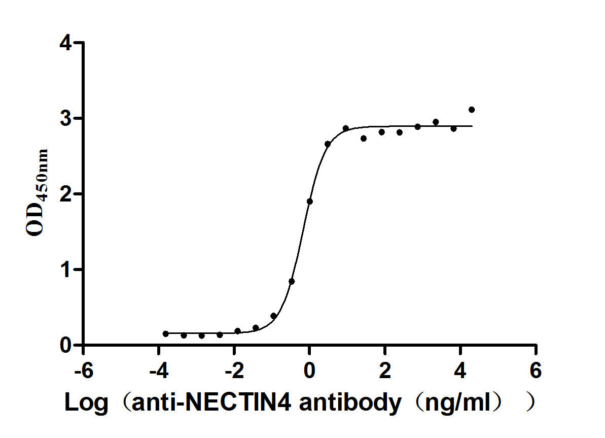 NECTIN4 Recombinant Monoclonal Antibody
