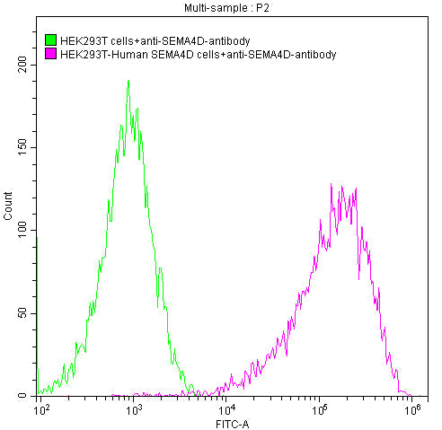SEMA4D Recombinant Monoclonal Antibody