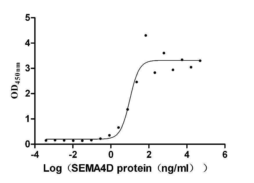 SEMA4D Recombinant Monoclonal Antibody