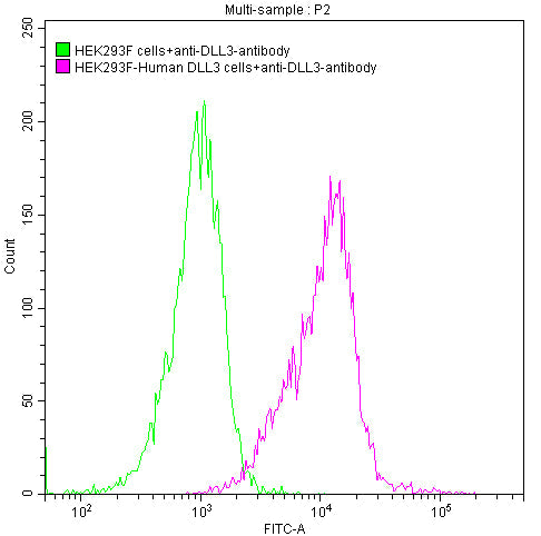 DLL3 Recombinant Monoclonal Antibody