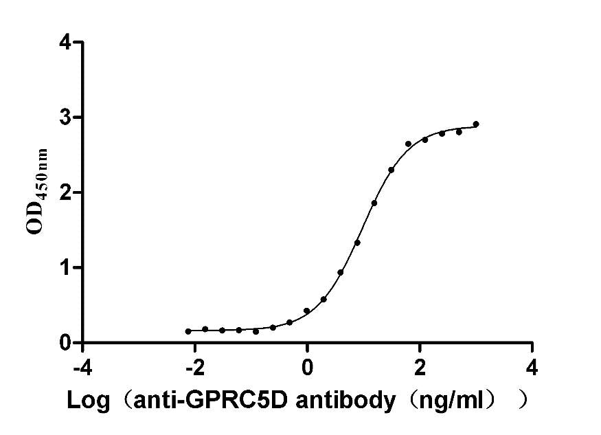 GPRC5D Recombinant Monoclonal Antibody