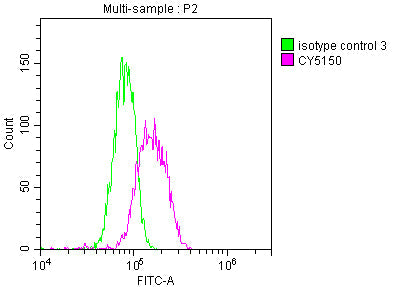 MYC Recombinant Monoclonal Antibody