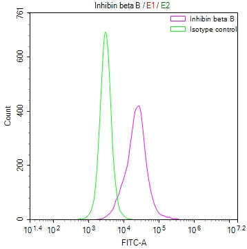 INHBB Recombinant Monoclonal Antibody