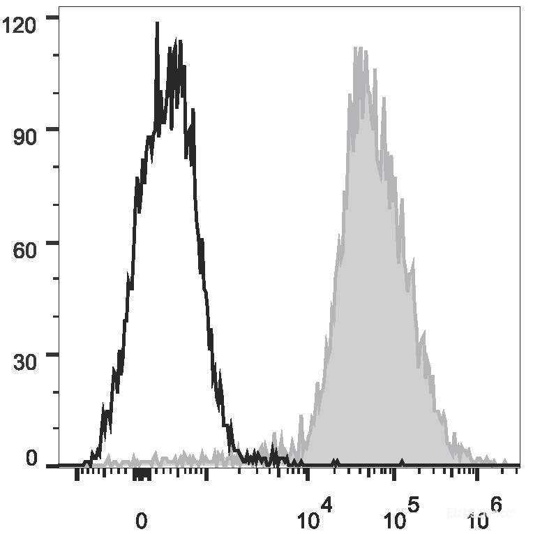Mouse abdominal macrophages elicited by starch broth are stained with AF647 Anti-Mouse F4/80 Antibody(filled gray histogram). Unstained macrophages (blank black histogram) are used as control.