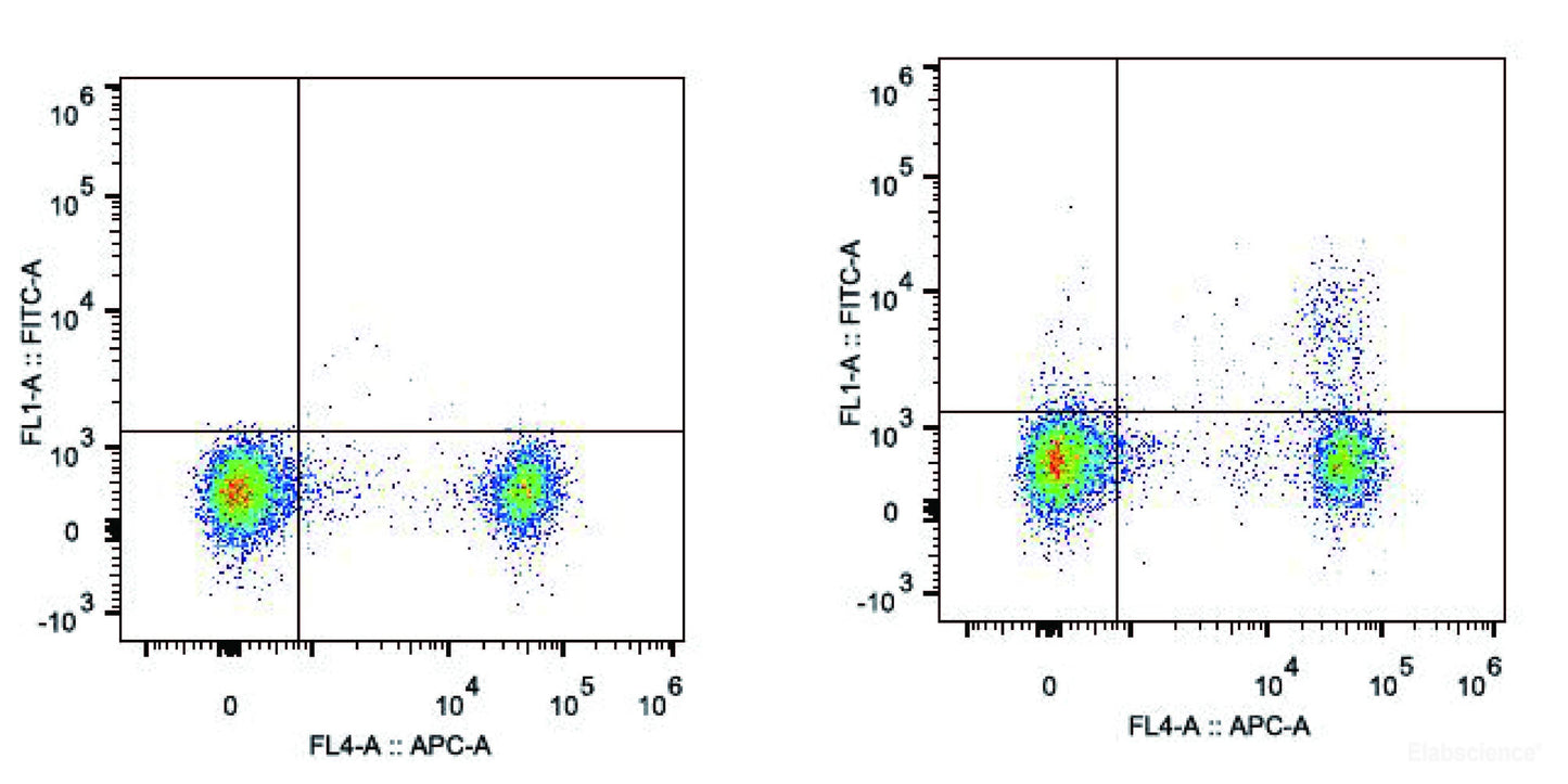 C57BL/6 murine splenocytes are stained with AF488 Anti-Mouse CD25 Antibody and APC Anti-Mouse CD4 Antibody(Right). Splenocytes stained with APC Anti-Mouse CD4 Antibody(Left) are used as control.