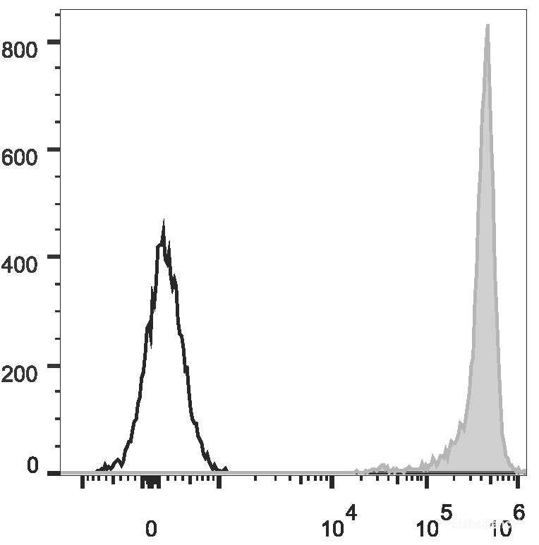 Rat thymocytes are stained with PE Anti-Rat CD90/Mouse CD90.1 Antibody(filled gray histogram). Unstained thymocytes (empty black histogram) are used as control.