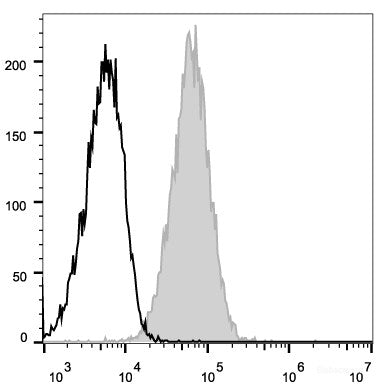 Mouse endothelial cells(bEnd.3) are stained with APC Anti-Mouse CD105 Antibody(filled gray histogram).APC Mouse IgG2a, κ Isotype Control stained cells are used as control.
