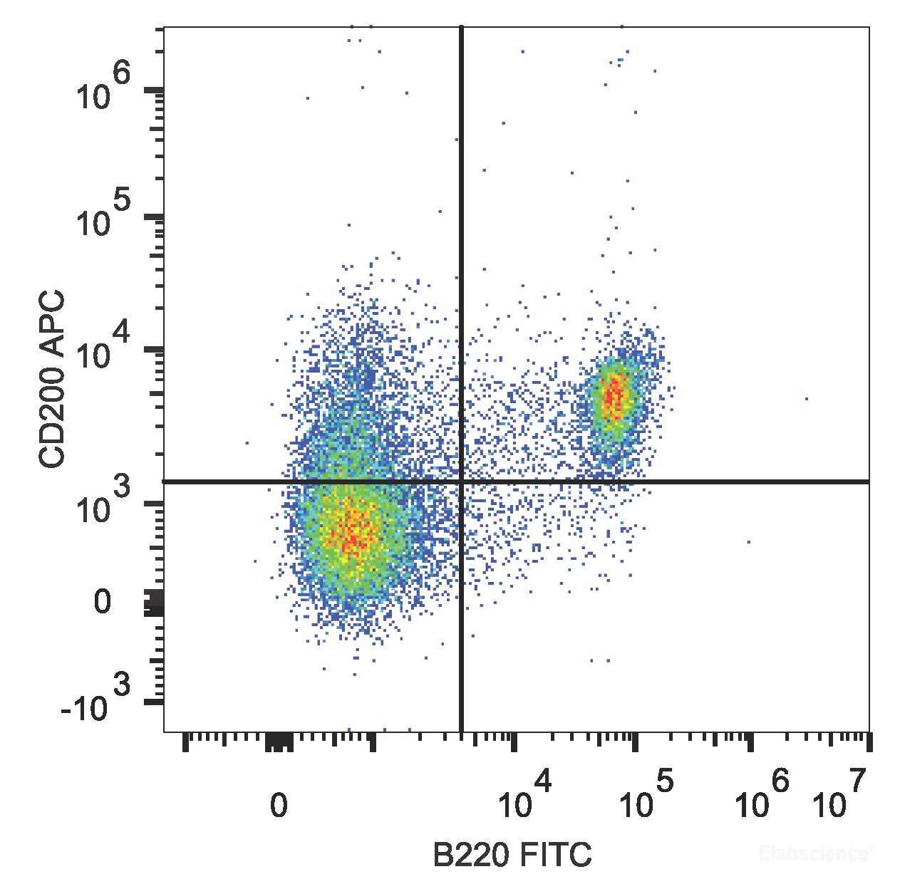 C57BL/6 murine splenocytes are stained with APC Anti-Mouse CD200 Antibody and FITC Anti-Mouse CD45R/B220 Antibody.