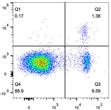 C57BL/6 splenocytes are surface stained with FITC Anti-Mouse CD4 Monoclonal Antibody followed by fixation and permeabilization using the Foxp3 Staining/Transcription Factor Buffer Set and intracellular staining with APC Anti-Mouse Foxp3 Monoclonal Antibody.