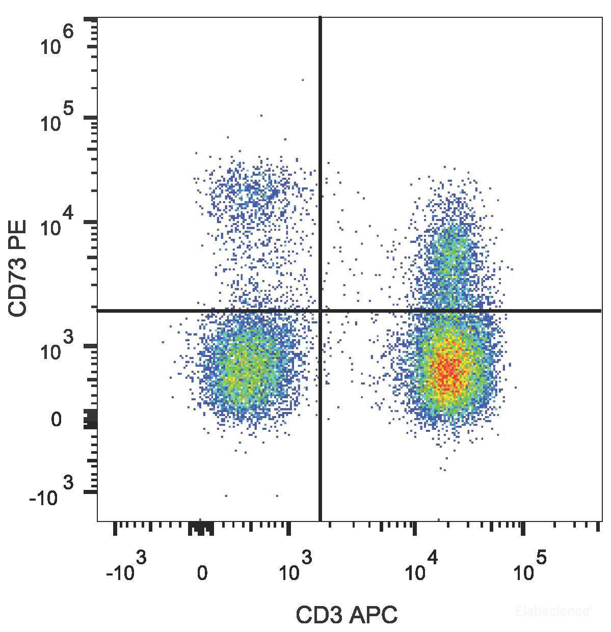 Human peripheral blood lymphocytes are stained with PE Anti-Human CD73 Antibody and APC Anti-Human CD3 Antibody.