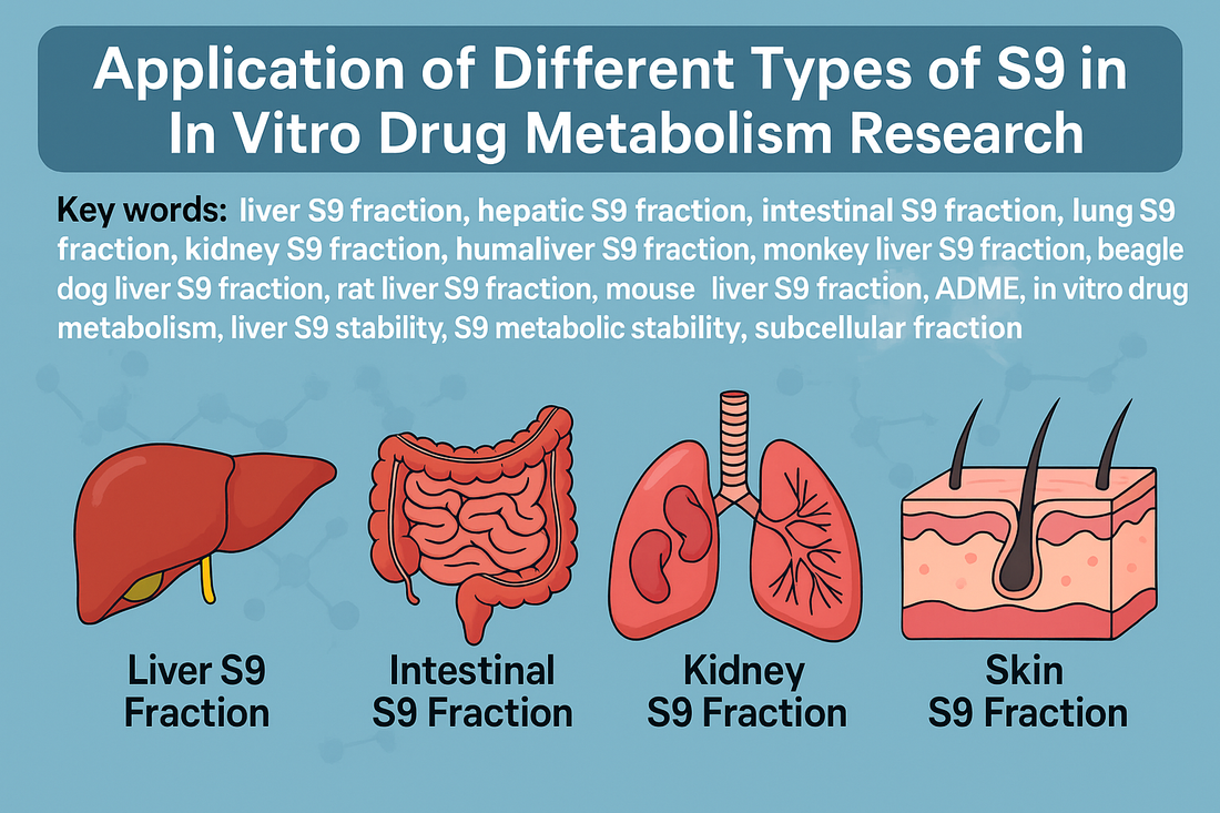 Application of Different Types of S9 in In Vitro Drug Metabolism Research