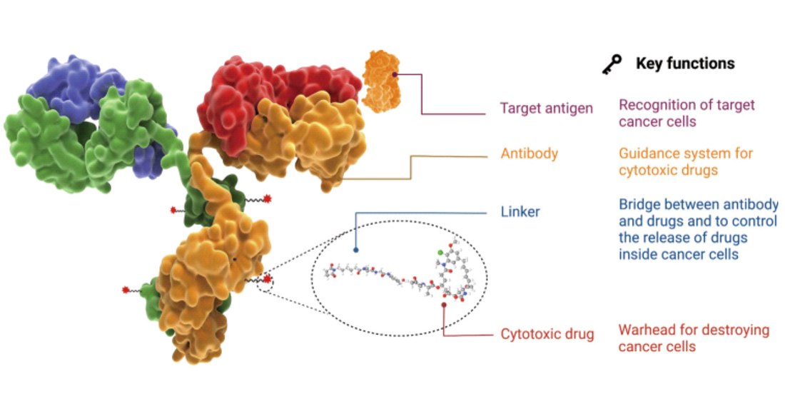 AntibodySystem ADC &amp; AAV Research Products