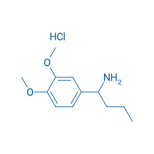1-(3,4-Dimethoxyphenyl)butan-1-amine hydrochloride 1g