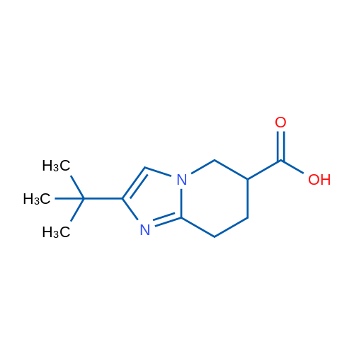 2-(tert-Butyl)-5,6,7,8-tetrahydroimidazo[1,2-a]pyridine-6-carboxylic acid 1g