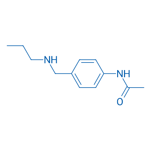 N-{4-[(propylamino)methyl]phenyl}acetamide 1g