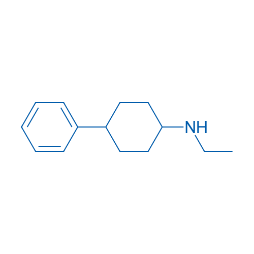 N-Ethyl-4-phenylcyclohexan-1-amine 1g