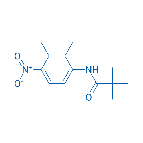 N-(2,3-Dimethyl-4-nitrophenyl)pivalamide 1g