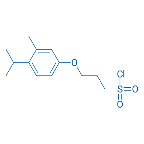 3-[3-Methyl-4-(propan-2-yl)phenoxy]propane-1-sulfonyl chloride 1g