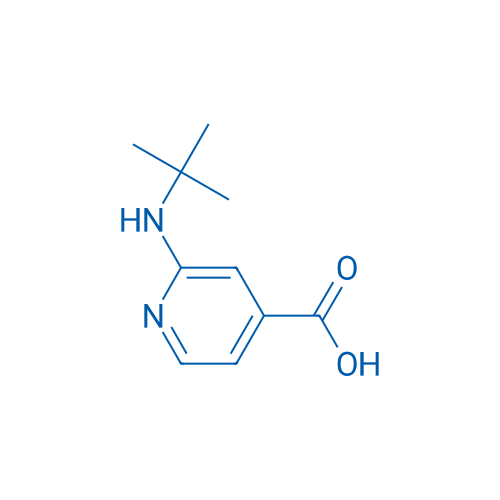 2-(tert-Butylamino)isonicotinic acid 1g