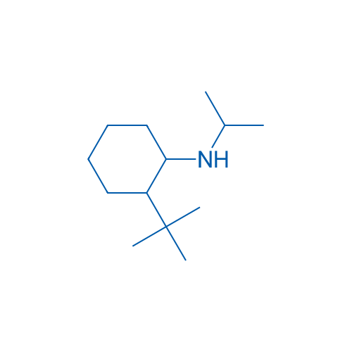 2-tert-Butyl-N-(propan-2-yl)cyclohexan-1-amine 250mg
