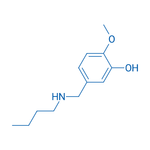 5-[(Butylamino)methyl]-2-methoxyphenol 1g