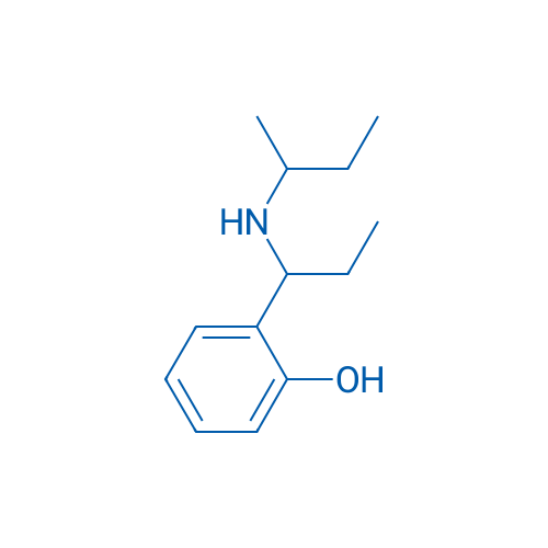 2-{1-[(butan-2-yl)amino]propyl}phenol 1g