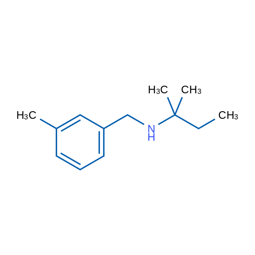 (2-Methylbutan-2-yl)[(3-methylphenyl)methyl]amine 1g