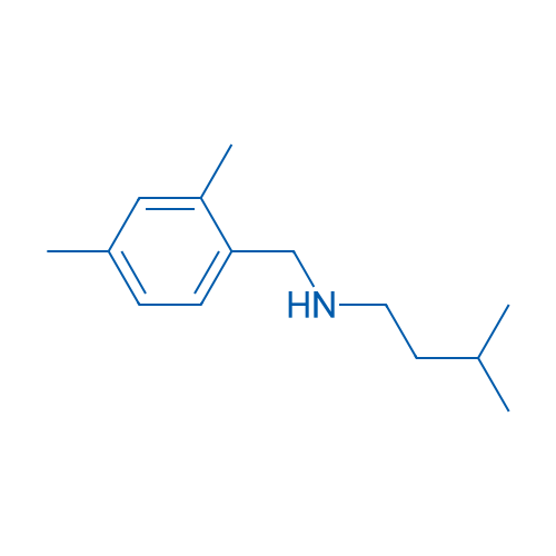 [(2,4-Dimethylphenyl)methyl](3-methylbutyl)amine 1g