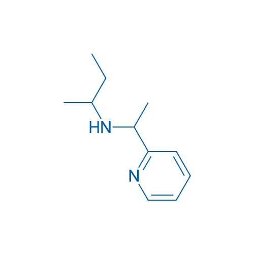 (Butan-2-yl)[1-(pyridin-2-yl)ethyl]amine 10g