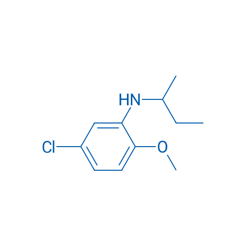 N-(Butan-2-yl)-5-chloro-2-methoxyaniline 1g