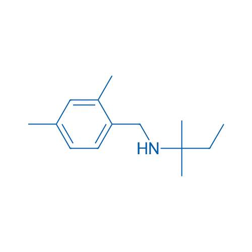 [(2,4-Dimethylphenyl)methyl](2-methylbutan-2-yl)amine 5g