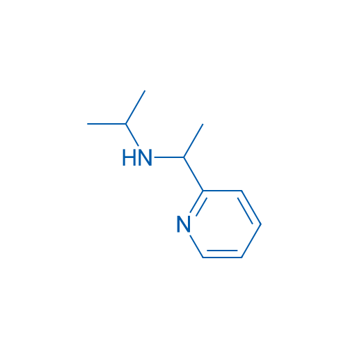 (Propan-2-yl)[1-(pyridin-2-yl)ethyl]amine 10g