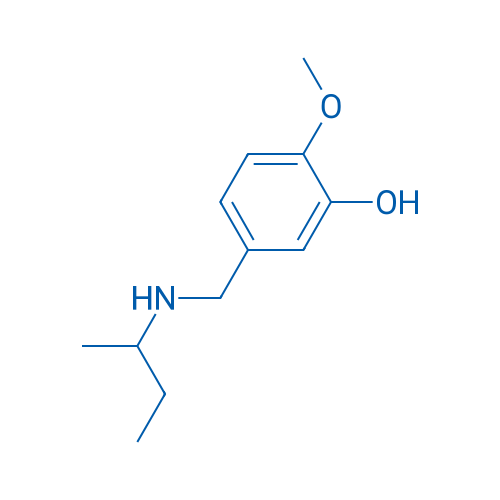 5-{[(butan-2-yl)amino]methyl}-2-methoxyphenol 1g