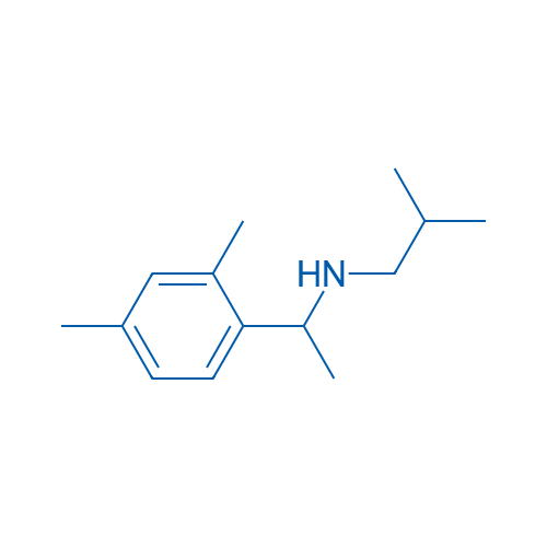 [1-(2,4-Dimethylphenyl)ethyl](2-methylpropyl)amine 1g