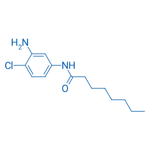 N-(3-Amino-4-chlorophenyl)octanamide 5g