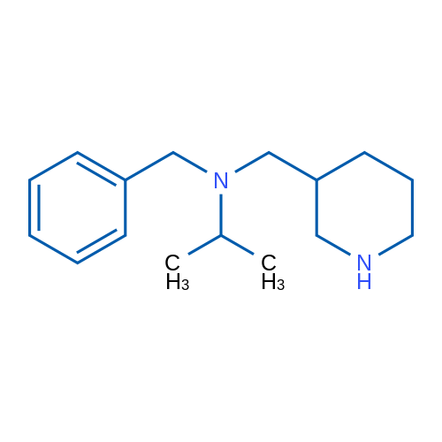 N-Benzyl-N-(piperidin-3-ylmethyl)propan-2-amine 1g