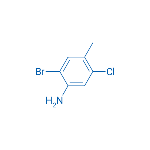 2-Bromo-5-chloro-4-methylaniline 1g