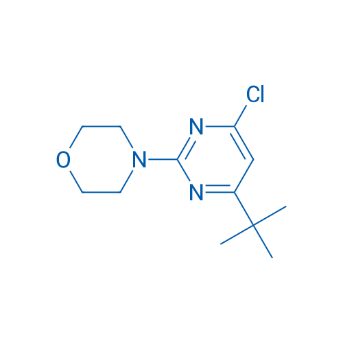 4-(4-(tert-Butyl)-6-chloropyrimidin-2-yl)morpholine 1g